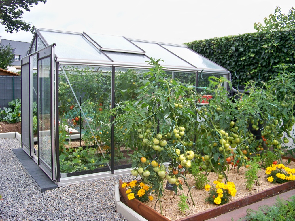 Serre ACD R204H SILVERLINE 2,32 x 2,98m - 6,91m²- PROMO *