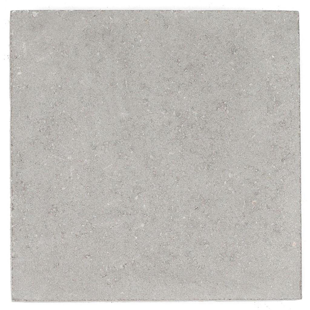 Dalle Beton 30x30x5 cm grise "benor" (€/p)