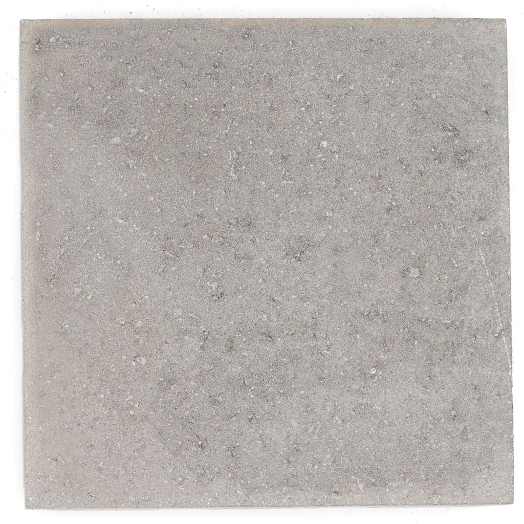 Dalle beton 30x30x6 cm grise "benor" (€/p)