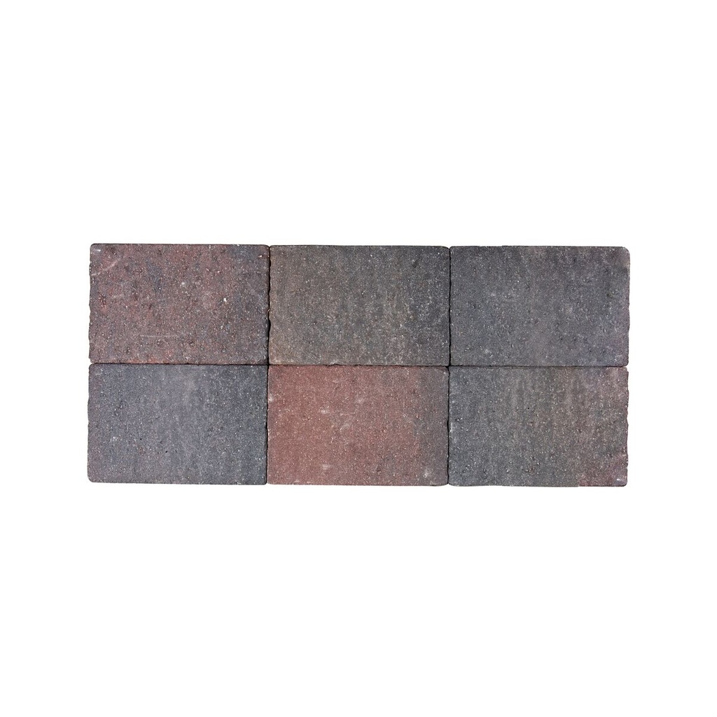Pavé Coeck In-Line Tambouriné 20x30x6 cm Automne (€/m²)