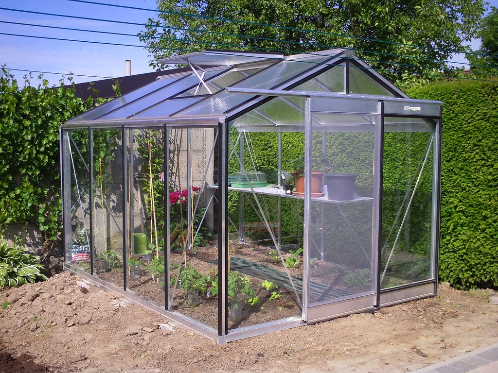 Serre ACD R304H Prestige (ALU, Sans montage, Sans Toile d'ombrage, pleine terre, Sans décoration, Sans rehaussement, Belgique & Luxembourg)