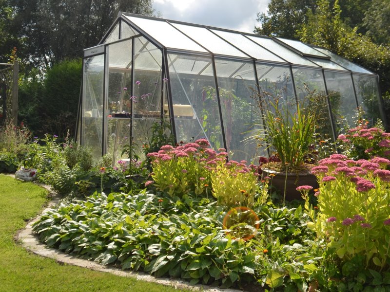 Serre ACD S106H Prestige -PROMO- (ALU, Sans montage, Sans Toile d'ombrage, pleine terre, Sans décoration, Sans rehaussement, Belgique & Luxembourg)