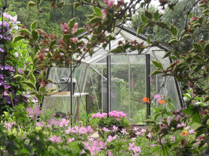 Serre ACD S108H Prestige (ALU, Sans montage, Sans Toile d'ombrage, pleine terre, Sans décoration, Sans rehaussement, Belgique & Luxembourg)