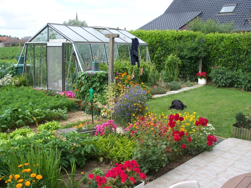 Serre ACD S206H Prestige (ALU, Sans montage, Sans Toile d'ombrage, pleine terre, Sans décoration, Sans rehaussement, Belgique & Luxembourg)