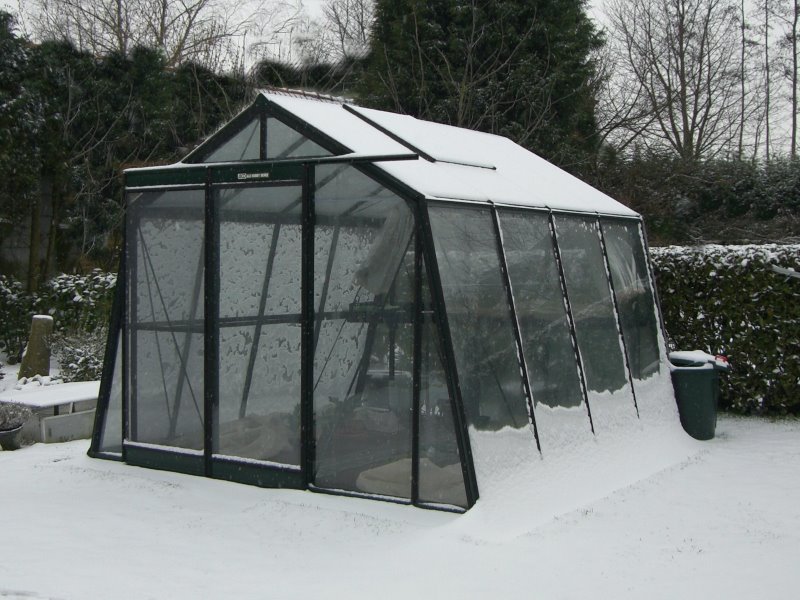 Serre ACD S104H Prestige BLACKLINE -PROMO- (Sans montage, Sans Toile d'ombrage, pleine terre, Sans décoration, Sans rehaussement)