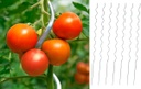 Tuteurs à tomates Spirales (Set 10p)