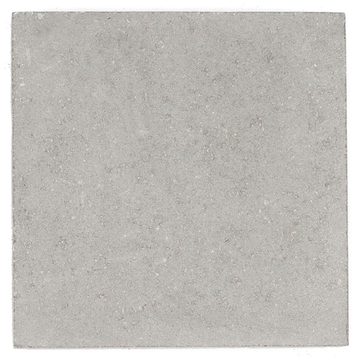 [dal30305gris] Dalle Beton 30x30x5 cm grise "benor" (€/p)